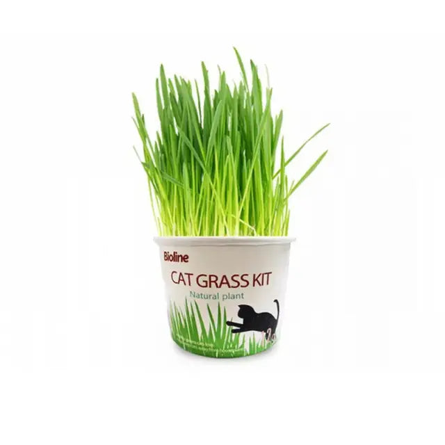 cat food Bioline Cat Grass Kit 12g Bioline Cat Grass Kit 12g