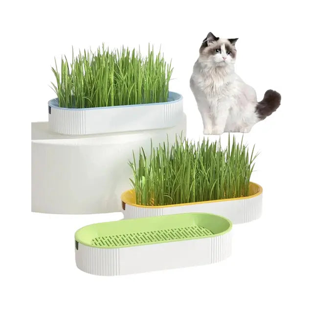 cat food Hydroponic Cat Grass Kit – Soilless Growing Pot for Healthy Cat Treats Hydroponic Cat Grass Kit – Soilless Growing Pot for Healthy Cat Treats