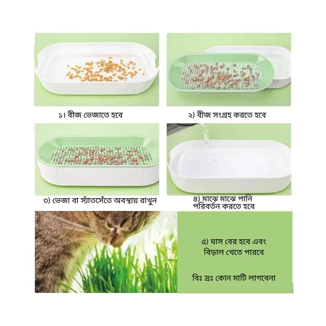 cat food Hydroponic Cat Grass Kit – Soilless Growing Pot for Healthy Cat Treats Hydroponic Cat Grass Kit – Soilless Growing Pot for Healthy Cat Treats